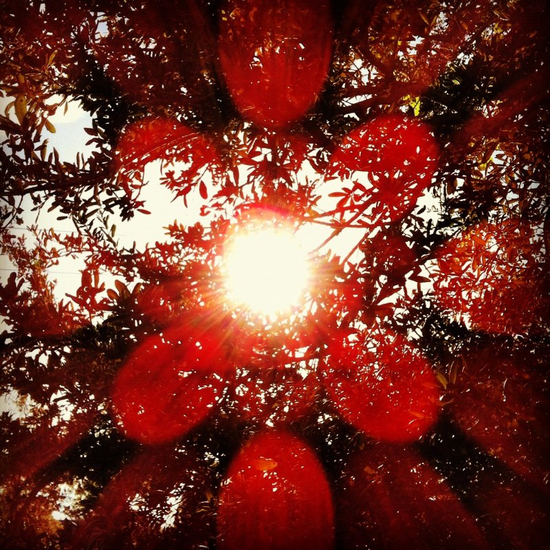 Sun Reflection