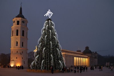 Christmas Tree in Cathedral Square