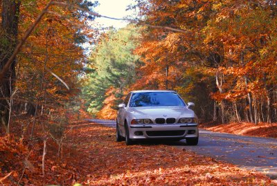 Fall-3.jpg