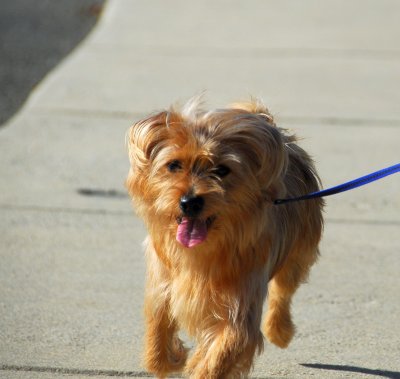 murphy-3.jpg