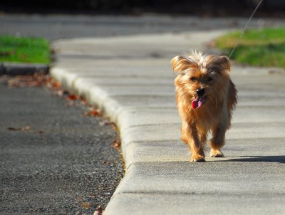 Murphy-8.jpg