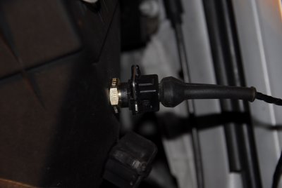 DSC_5339.jpg