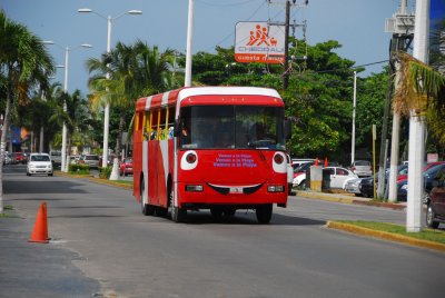 bus.jpg