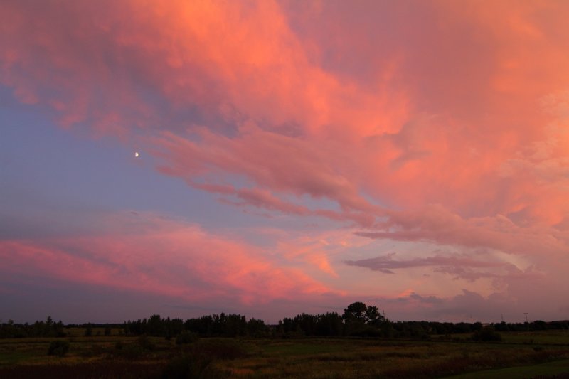 Moon Glimpse