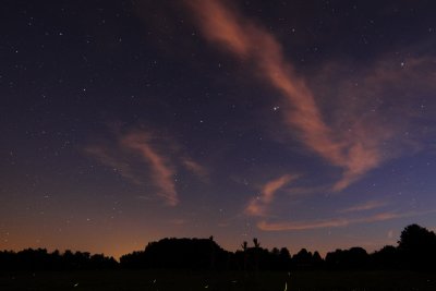 Fireflies and Twilight