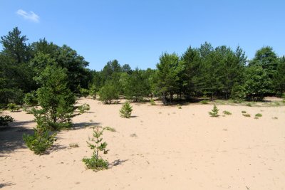 Wisconsin Desert