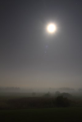 Moonbeams in the Mist