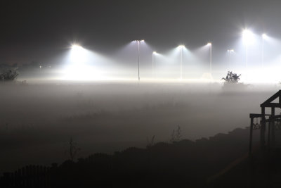 Fields of Fog