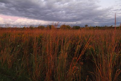 Prairie Light