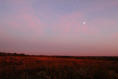 Pink Sunset