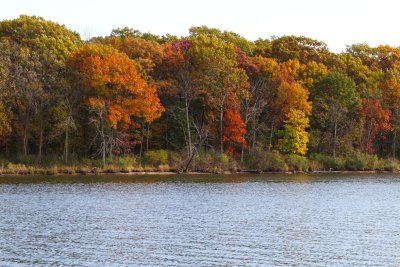 Colors of Fall