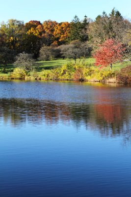 Reflecting on Fall