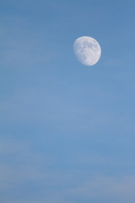Midair Moon