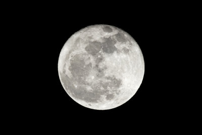 Full Sap Moon