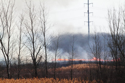 Purging the Prairie