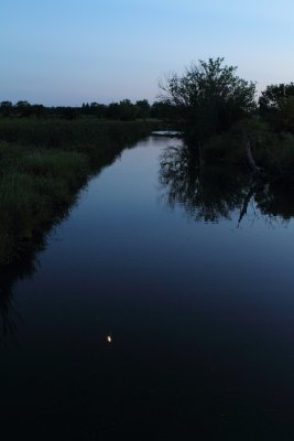 Moon in the Creek