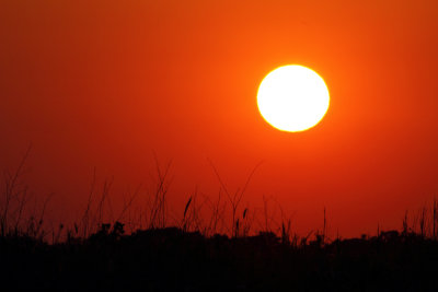 Sun Setting on an Illinois Prairie
