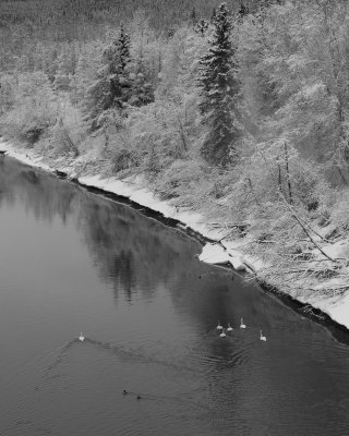 DSC_9038br.jpg