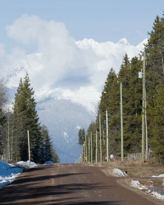 DSC_9086br.jpg