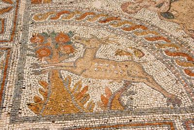 Naxos Mosaics_1607 copy.jpg