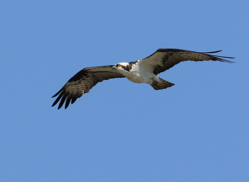 D30_0663.jpg