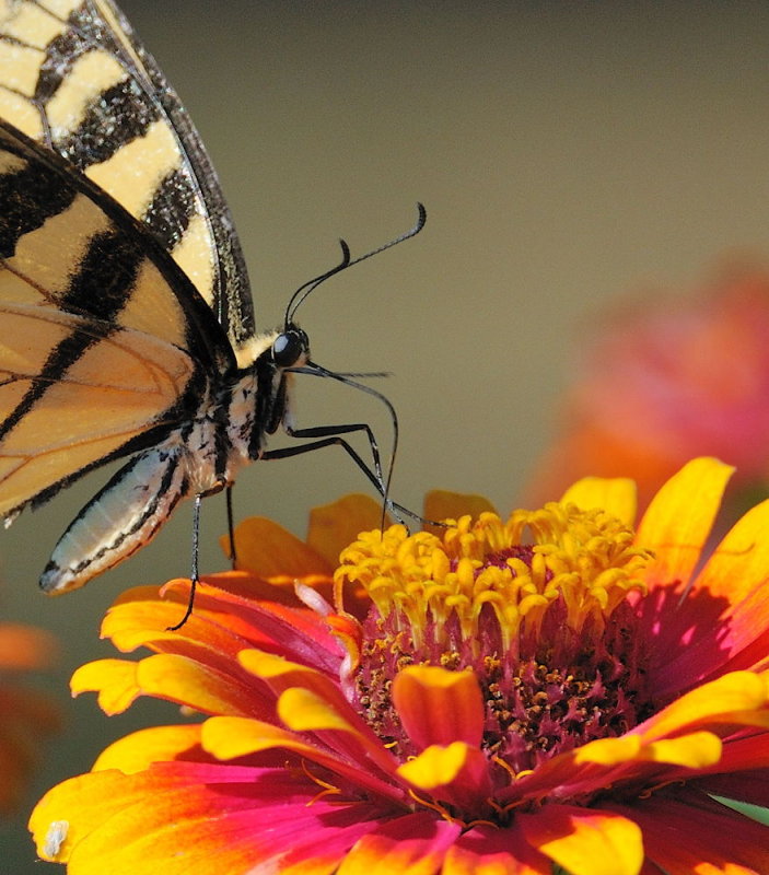 D30_8120 Crop.jpg
