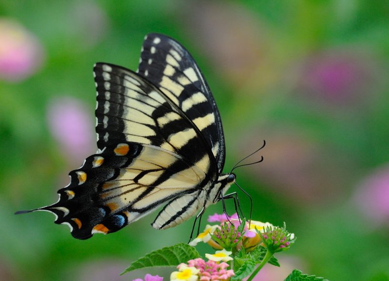 D30_9460.jpg