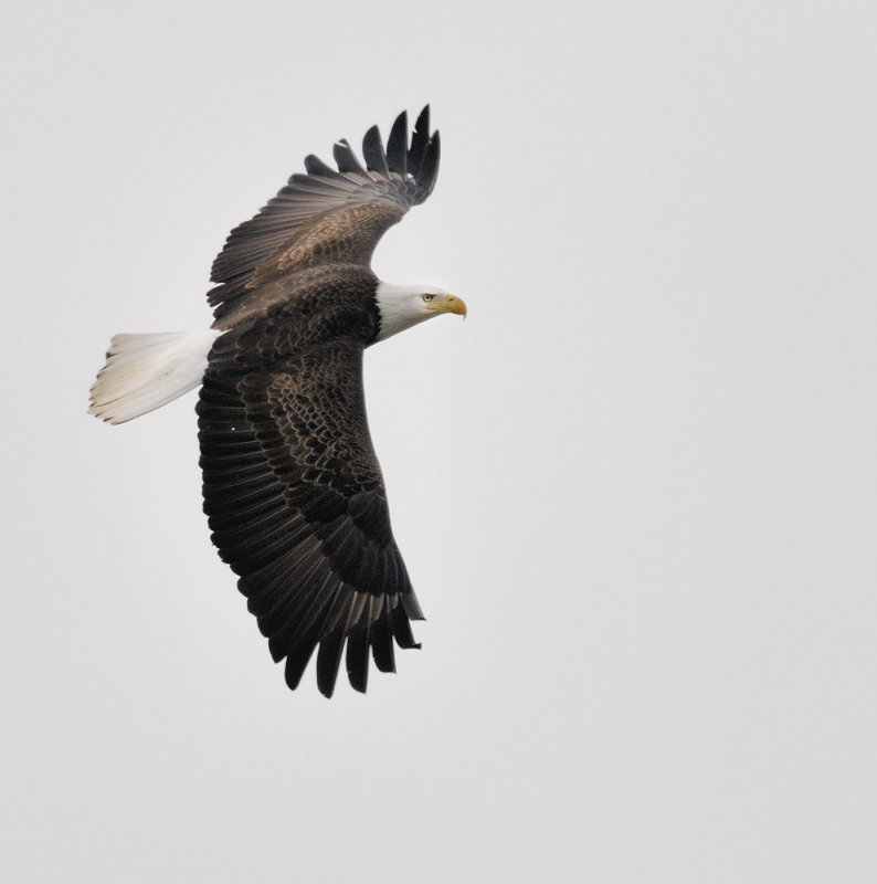 D31_5886.jpg