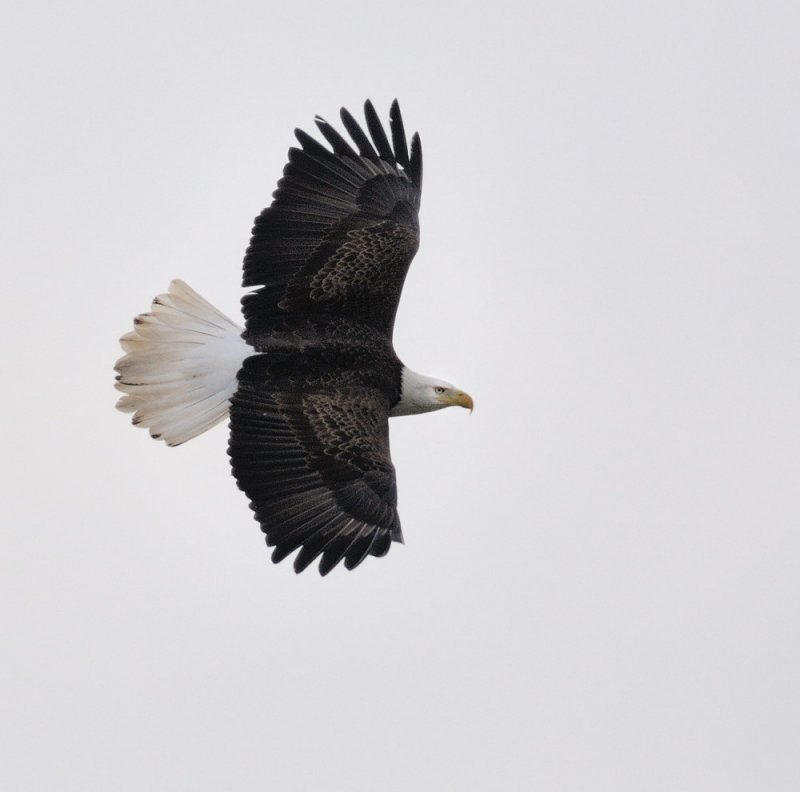 D31_5904.jpg