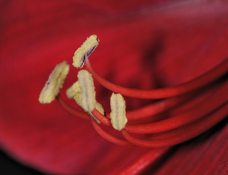 D31_6472.jpg