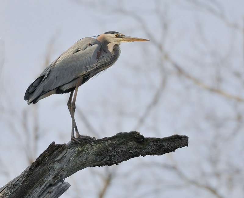 D31_7623.jpg