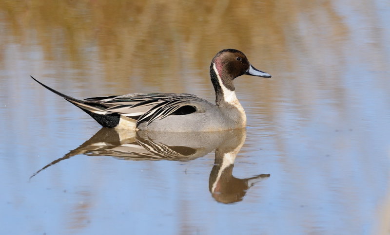 D31_7870.jpg