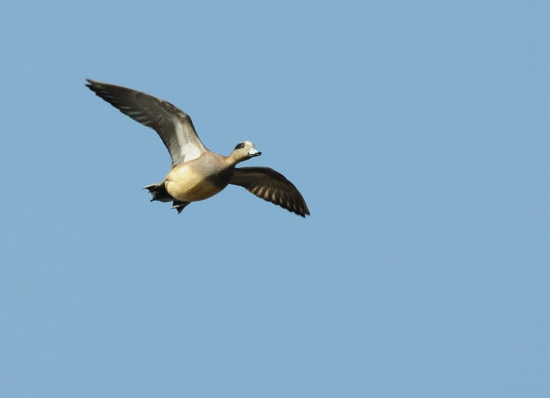 D31_8398.jpg