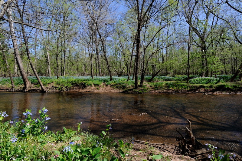 D32_2388.jpg