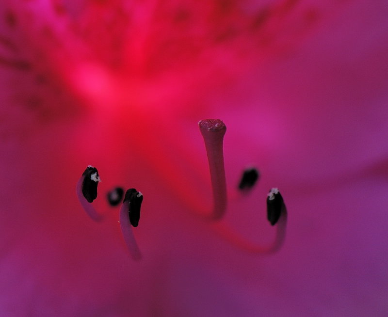 D32_2749.jpg