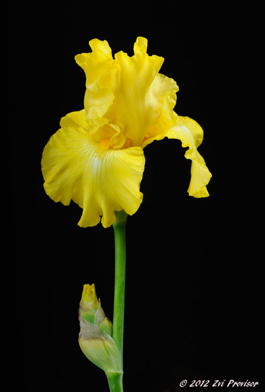 D32_4986.jpg