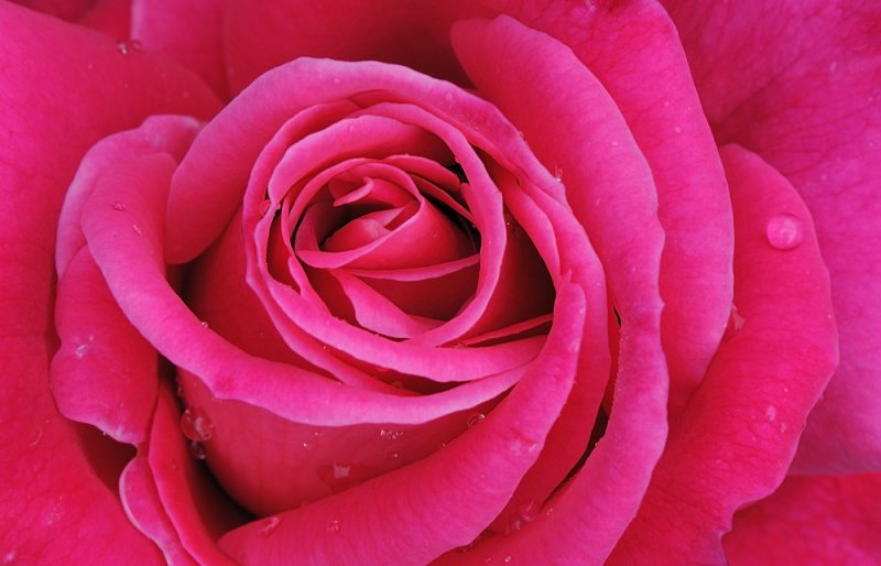 D32_5124.jpg