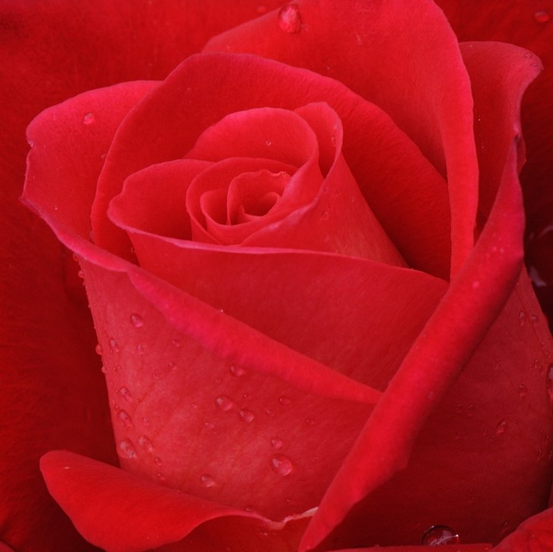 D32_5154.jpg
