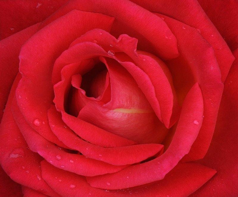 D32_5170.jpg