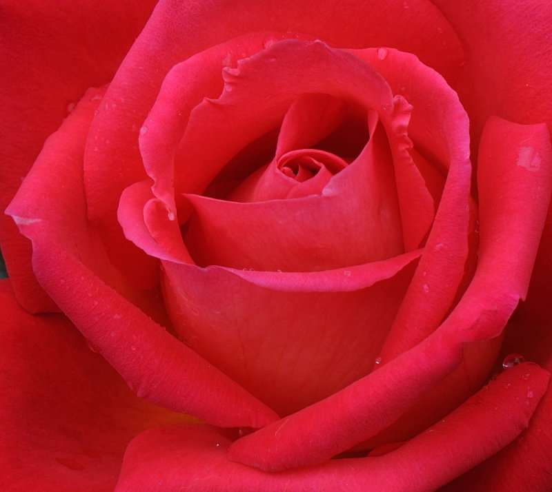D32_5177.jpg