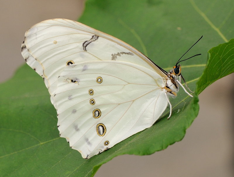 D32_5404_1.jpg