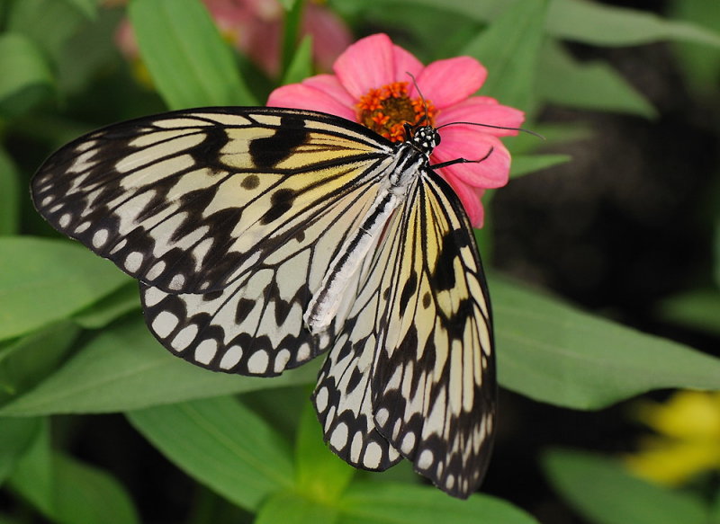 D32_5542.jpg