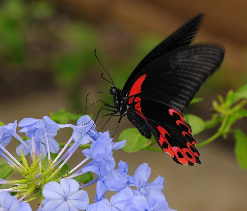 D32_5646.jpg
