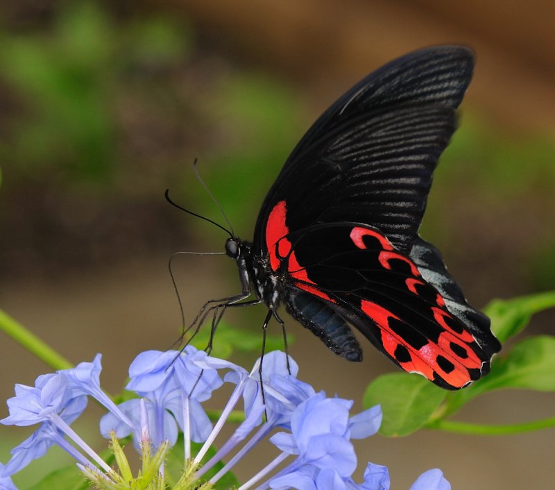 D32_5647.jpg