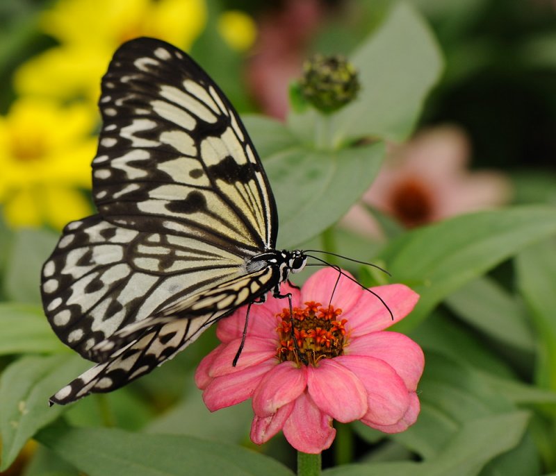 D32_5663.jpg