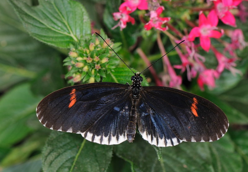 D32_5670.jpg