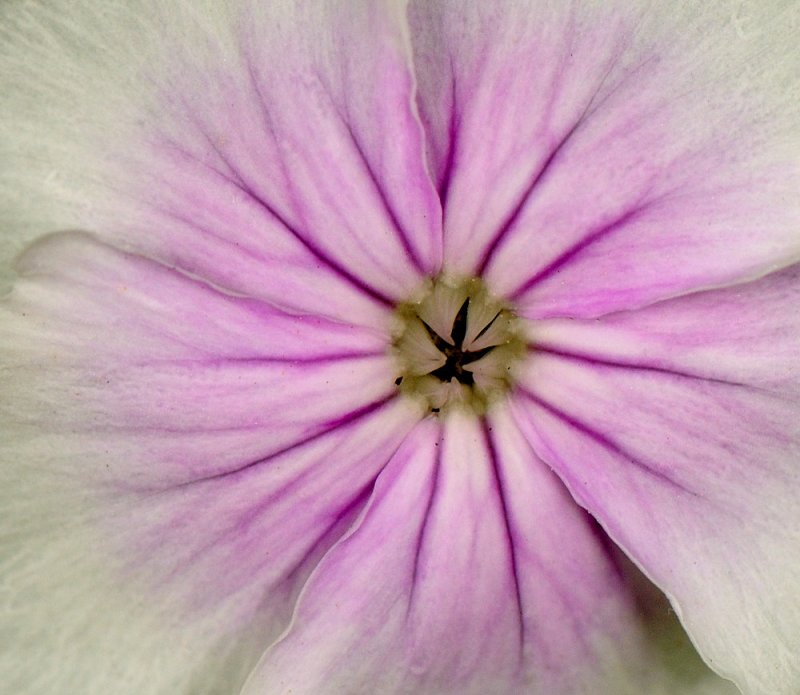 D32_5684.jpg