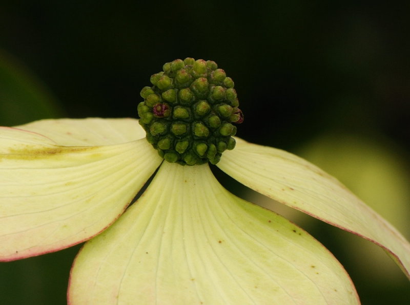 D32_5856.jpg