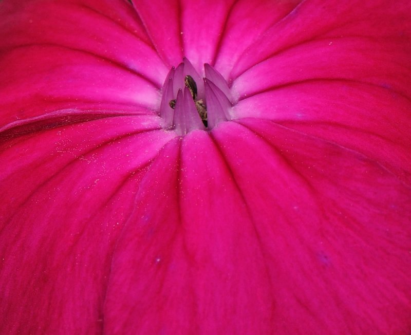 D32_6058.jpg