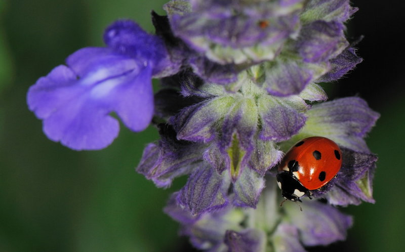 D32_6067.jpg